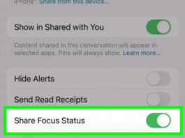 what is share focus status