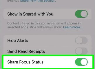 what is share focus status