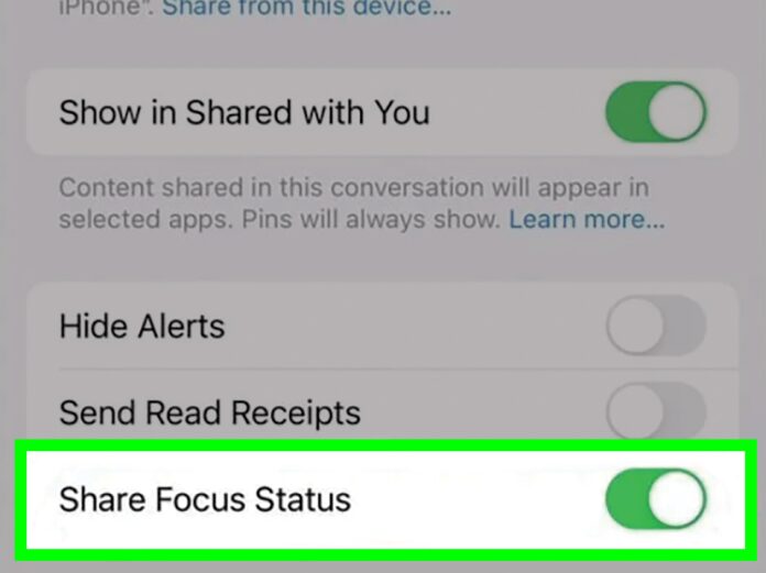 what is share focus status